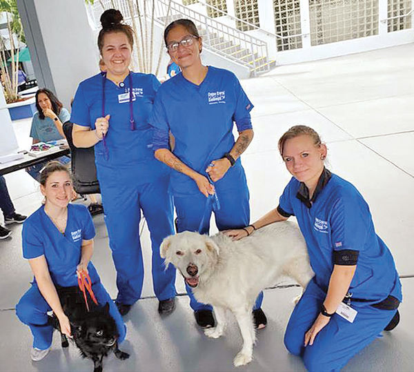 Cape Coral Tech collecting donations of pet food for special Pet Pantry